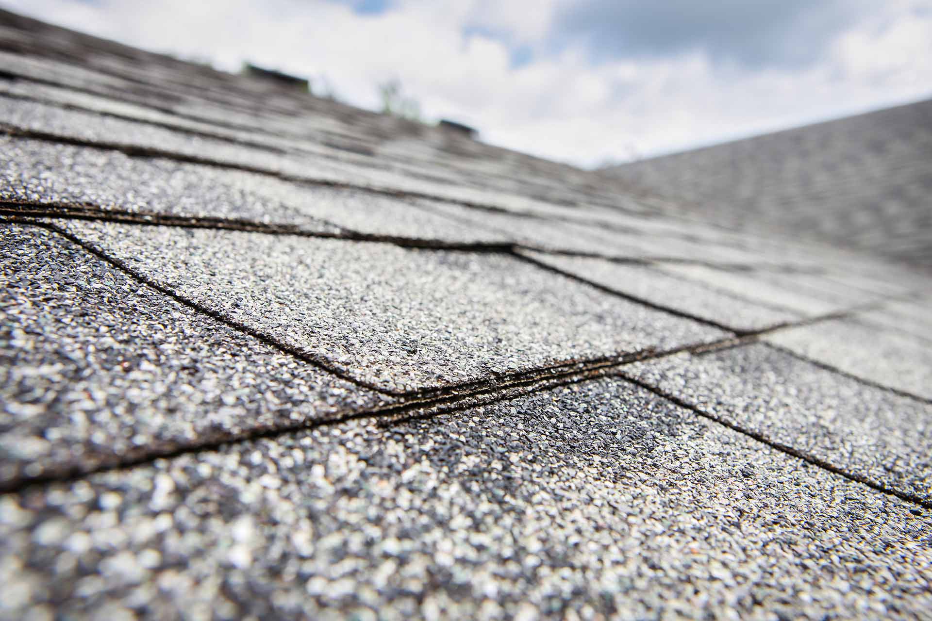 A close up of damaged roof shingles in Wesley Chapel, FL.