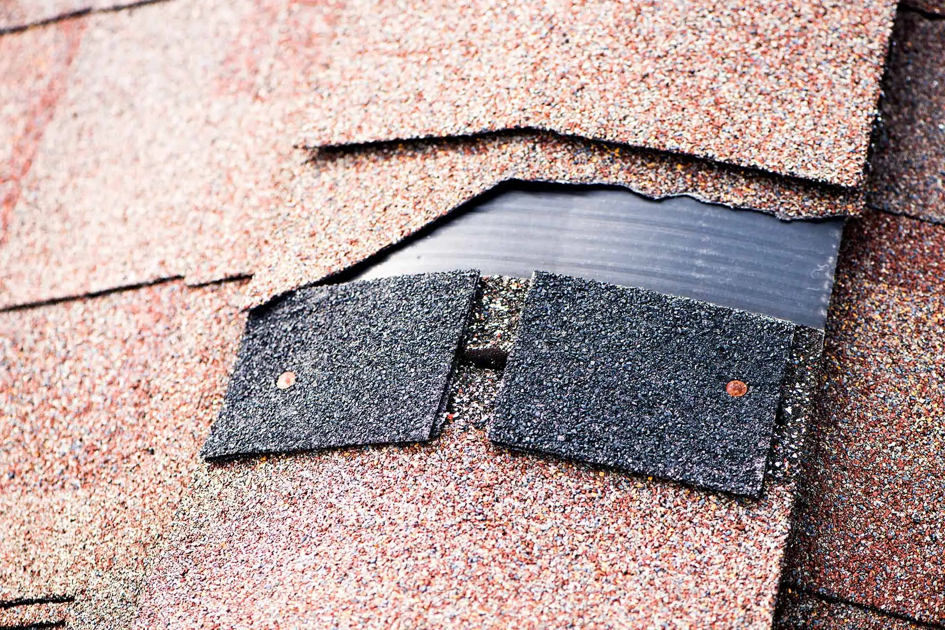 Damaged roof shingles on a home in Lakeland, FL.
