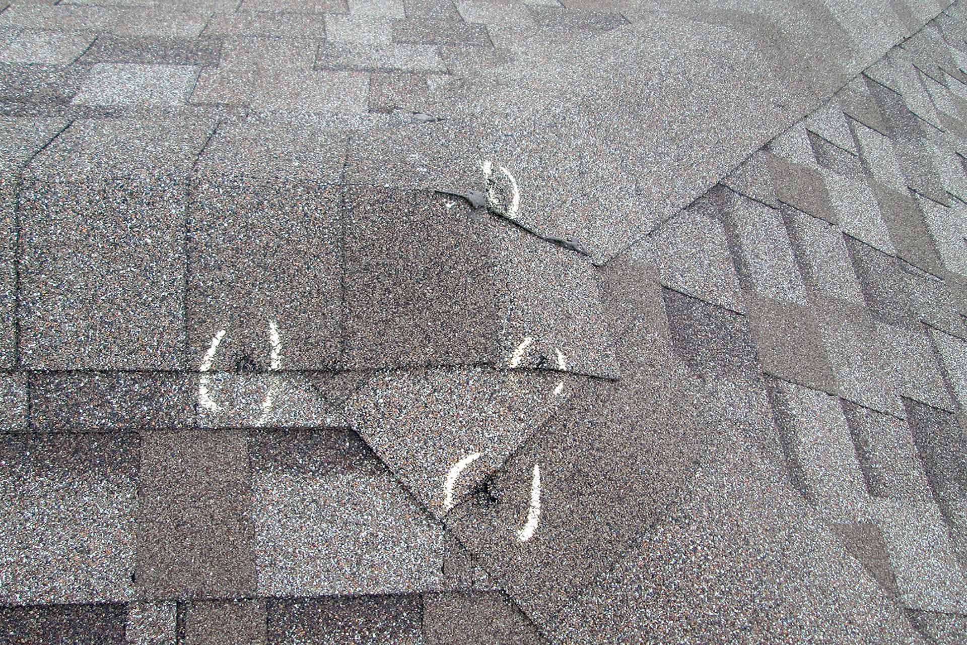 A home roof's shingles with hail damage near Lakeland, FL.