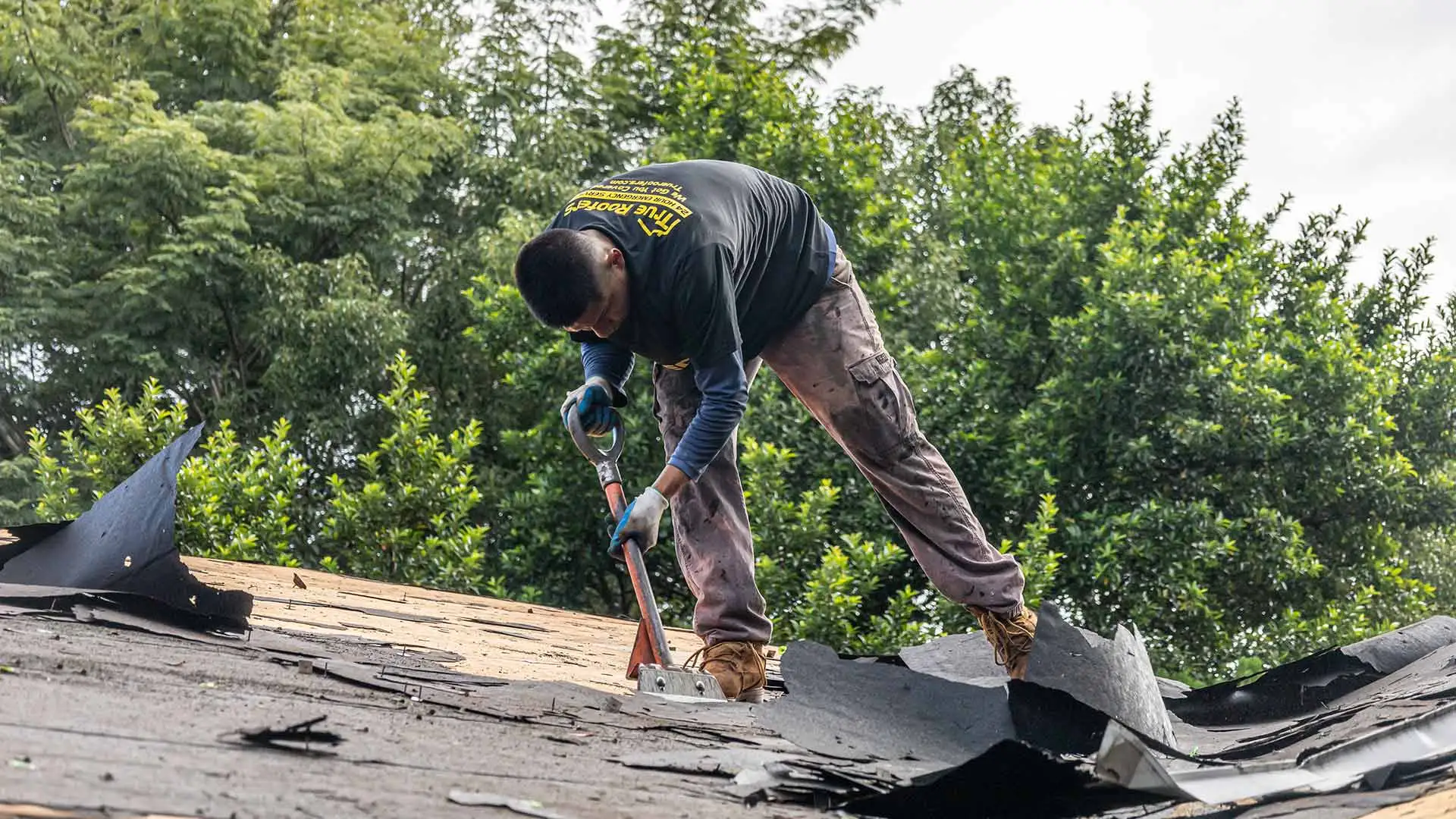 Professional Roof Replacement vs DIY Roof Replacement