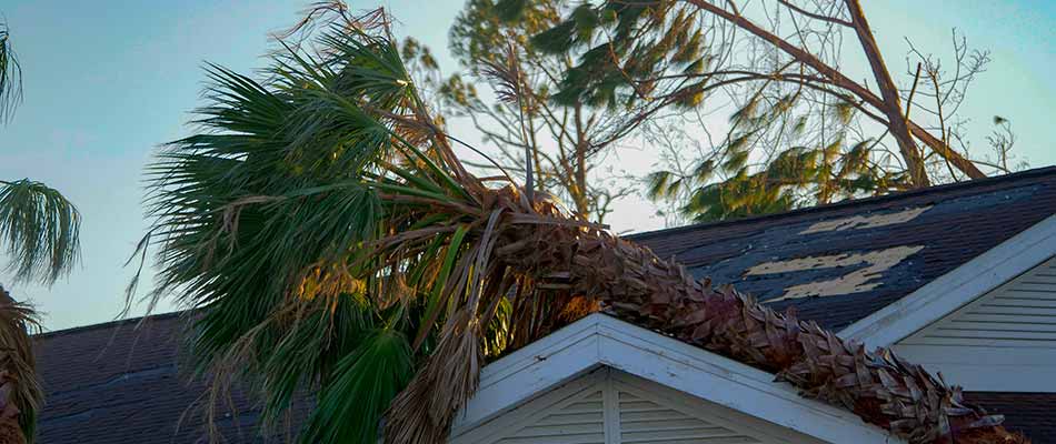 Fallen tree on a Lakeland, FL home causing serious roof damage.