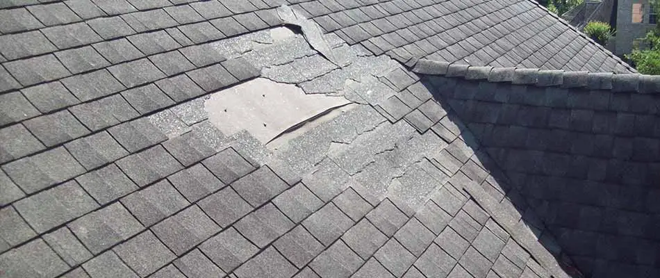 Wind damage to shingles on a home's roof in Wesley Chapel, FL.