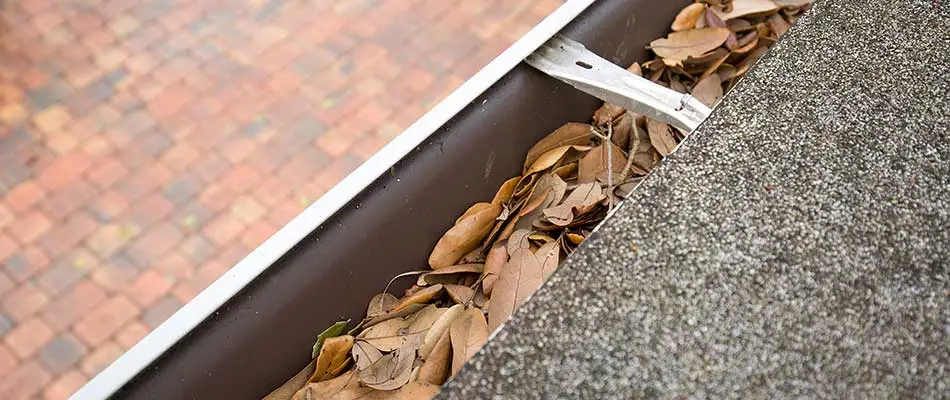 A home gutter clogged with leaves in Plant City, FL.
