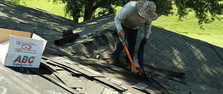 Roof repairs and shingles being removed near Plant City, FL.