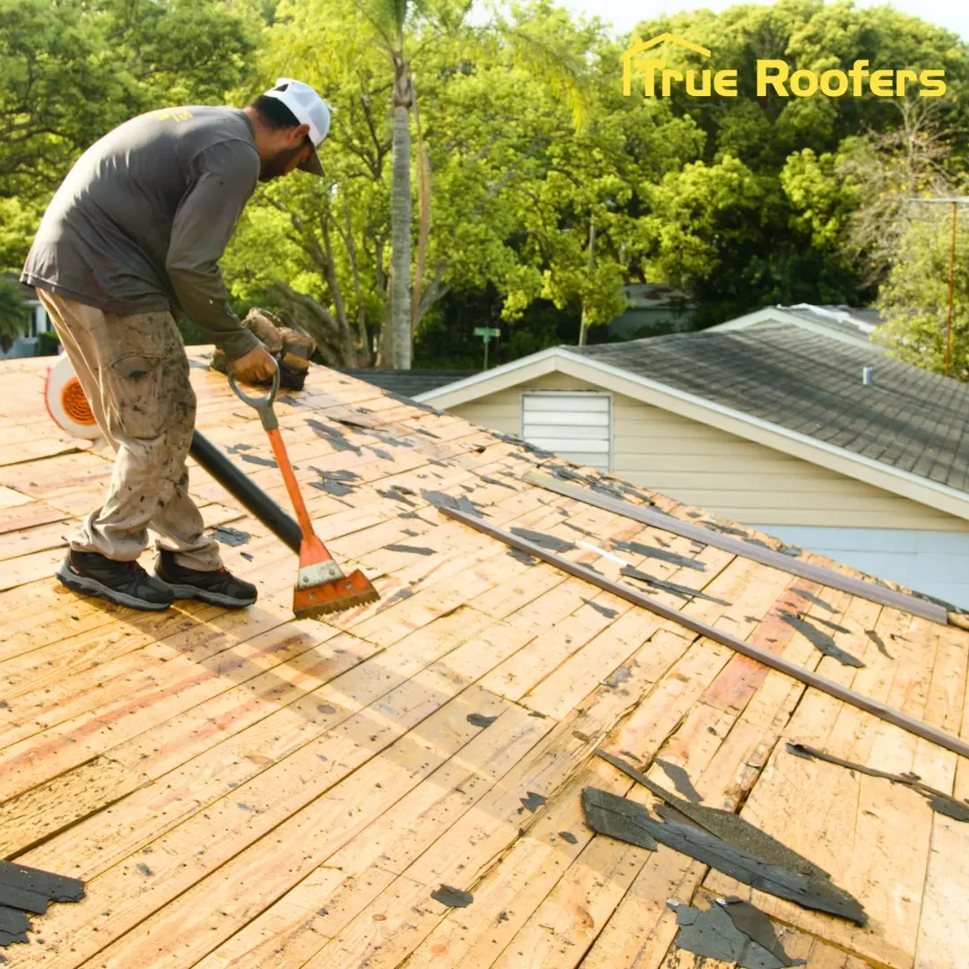 When Should I Replace vs Repair My Roof?