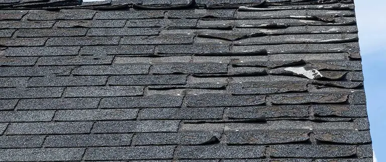 Roof Rot Will Surely Reduce the Life of Your Roof