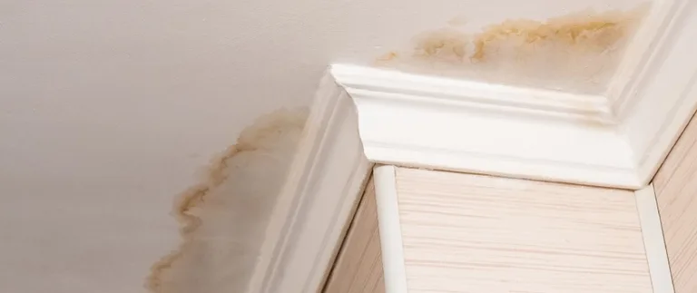 What Are Some Indicators of a Roof Leak?