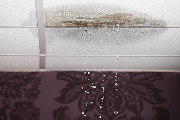 What Are the Common Causes of Roof Leaks in Central FL