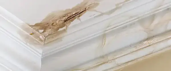 Water stain on an interior ceiling documented during a roof inspection