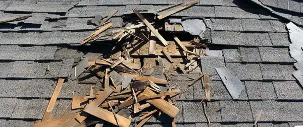 Storm-damaged shingles torn loose from a roof deck